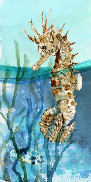 Pacific Seahorse by Carol Robinson Oil Painting
