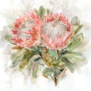 Pale Protea I by Carol Robinson Oil Painting