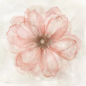 Pink Posy I by Carol Robinson Oil Painting