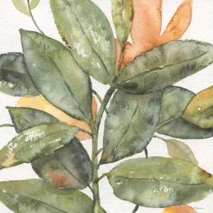 Plantlife I by Carol Robinson Oil Painting