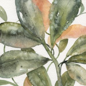 Plantlife II by Carol Robinson Oil Painting