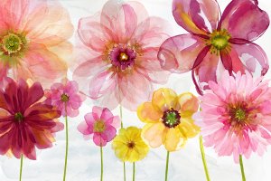 Pop Of Spring by Carol Robinson Oil Painting
