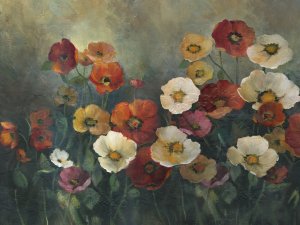 Poppy Perfection by Carol Robinson Oil Painting