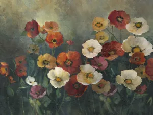 Poppy Perfection by Carol Robinson Oil Painting
