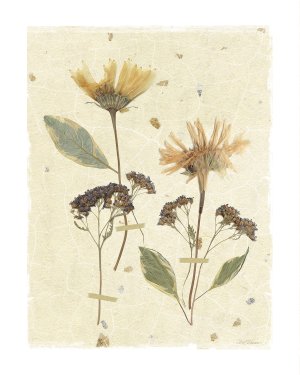 Pressed Daisies by Carol Robinson Oil Painting