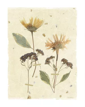 Pressed Daisies by Carol Robinson Oil Painting
