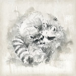 Raccoon Momma and Baby by Carol Robinson Oil Painting