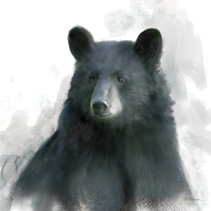 Rainsoft Bear by Carol Robinson Oil Painting