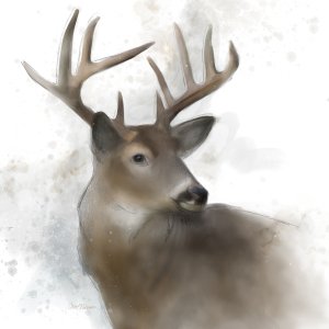 Rainsoft Deer by Carol Robinson Oil Painting