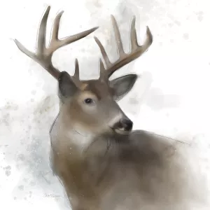 Rainsoft Deer by Carol Robinson Oil Painting
