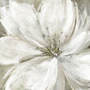 No Frame Rolled Canvas
