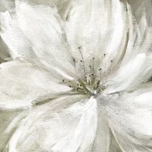 Rainy Day Soft by Carol Robinson Oil Painting