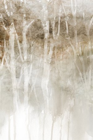 No Frame Rolled Canvas