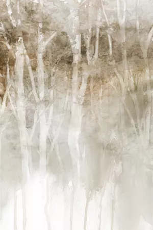 Rainy Forest Birch Oil Painting by Carol Robinson - Bestsellers