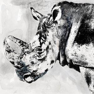 Rhino Wash by Carol Robinson Oil Painting