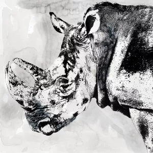 Rhino Wash by Carol Robinson Oil Painting