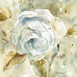 Rose by Carol Robinson Oil Painting