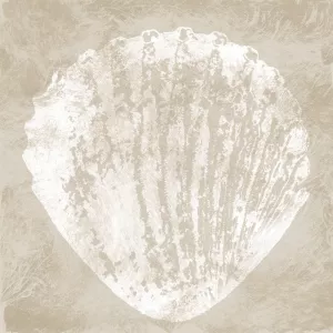 Sandy Shell I Oil Painting by Carol Robinson - Contemporary