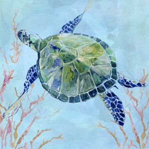 Sea Turtle II by Carol Robinson Oil Painting