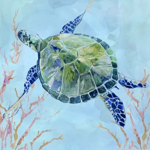 Sea Turtle II by Carol Robinson Oil Painting