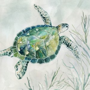 Seaglass Turtle I by Carol Robinson Oil Painting