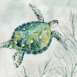 Seaglass Turtle I Oil Painting by Carol Robinson - Bestsellers
