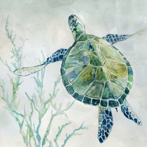 Seaglass Turtle II by Carol Robinson Oil Painting
