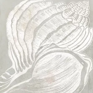 Seashell Close Up II by Carol Robinson Oil Painting