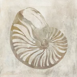 Seashell Illusion I by Carol Robinson Oil Painting