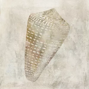Seashell Illusion II by Carol Robinson Oil Painting