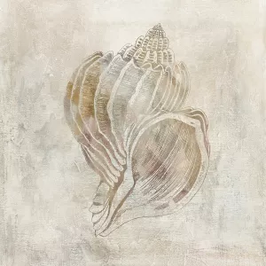 Seashell Illusion III by Carol Robinson Oil Painting