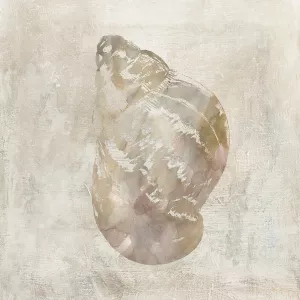 Seashell Illusion IV by Carol Robinson Oil Painting