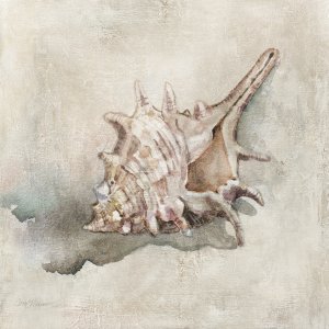 Seashell Textures I by Carol Robinson Oil Painting