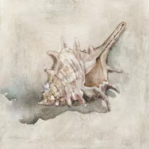 Seashell Textures I by Carol Robinson Oil Painting
