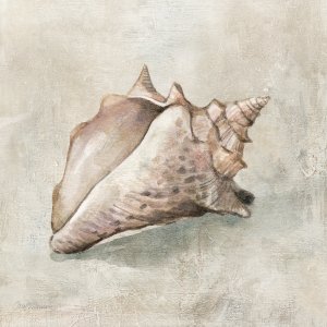 Seashell Textures II by Carol Robinson Oil Painting