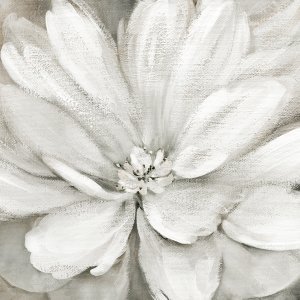 Simply Soft by Carol Robinson Oil Painting