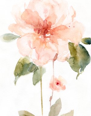 Single Perfect Bloom II by Carol Robinson Oil Painting
