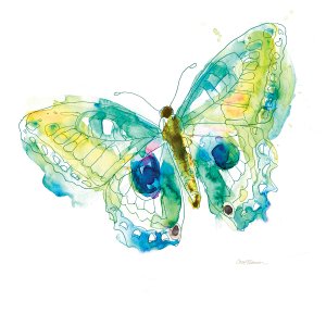 Sketchbook Butterfly II by Carol Robinson Oil Painting