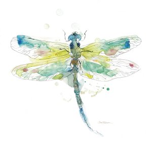 Sketchbook Dragonfly by Carol Robinson Oil Painting