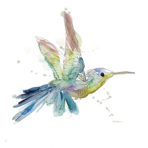 Sketchbook Hummingbird by Carol Robinson Oil Painting