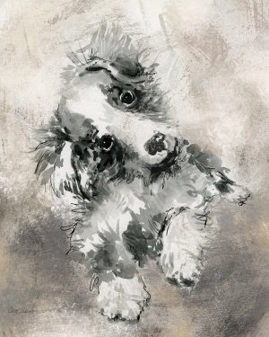Sketchy Study Collie by Carol Robinson Oil Painting