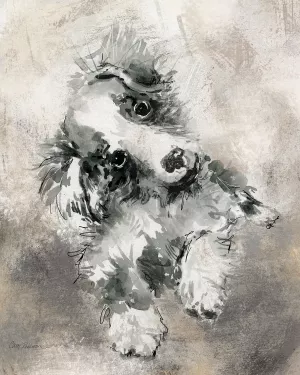 Sketchy Study Collie by Carol Robinson Oil Painting