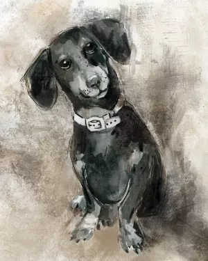 Sketchy Study Dachshund Oil Painting by Carol Robinson - Bestsellers