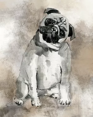 Sketchy Study Pug Oil Painting by Carol Robinson - Bestsellers