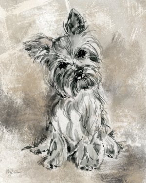 Sketchy Study Yorkie by Carol Robinson Oil Painting