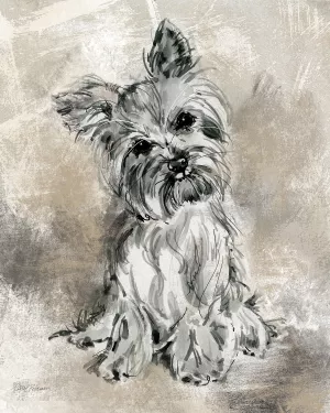 Sketchy Study Yorkie Oil Painting by Carol Robinson - Bestsellers