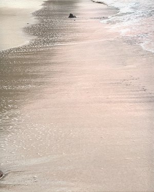 Soft Pink Sands by Carol Robinson Oil Painting