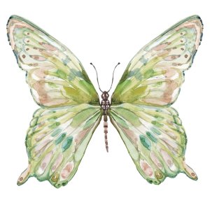 Soft Wings I by Carol Robinson Oil Painting