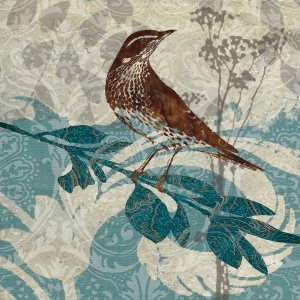 Songbird I by Carol Robinson Oil Painting