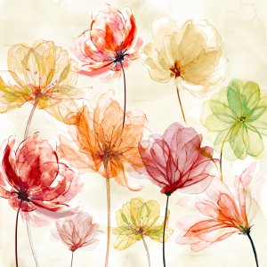 Splash of Color by Carol Robinson Oil Painting